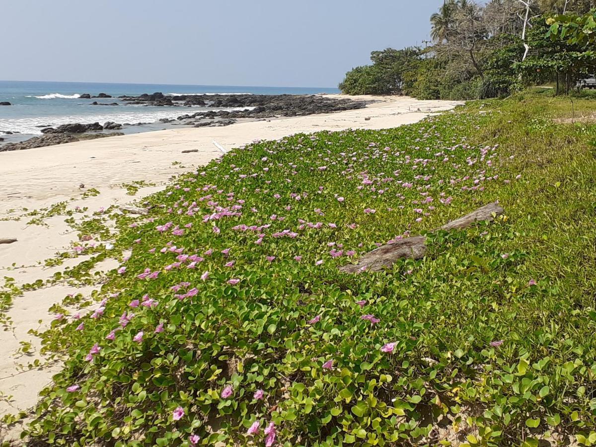 Lanta Daisy Residence Ko Lanta Exteriör bild