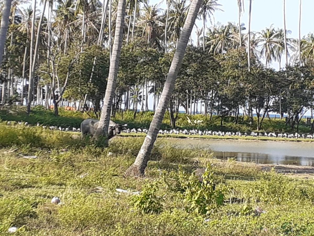 Lanta Daisy Residence Ko Lanta Exteriör bild